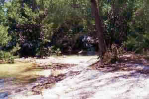 Florida-2